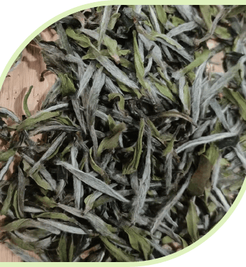 White Tea Taster Box