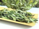 24年拋荒白牡丹
