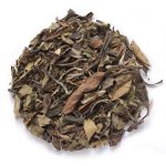 24年拋荒白牡丹